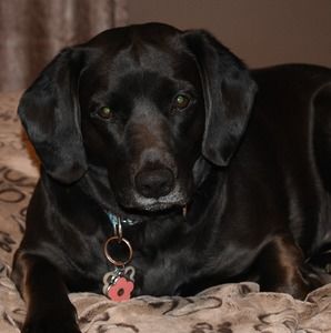 Meet your Posher, Teri